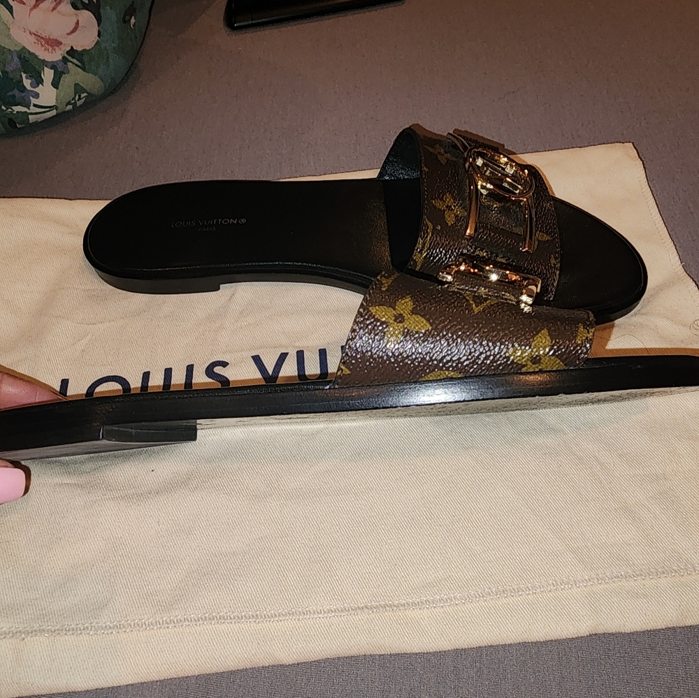 Louis Vuttion Luxury Brown Slide Sandals Size 41 - Picture 4 of 11